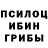 Псилоцибиновые грибы Psilocybine cubensis Marina Skovorodkin